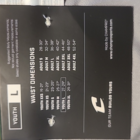 Champro NWT Gray Baseball Pants - Boys Large - Picture 5 of 8